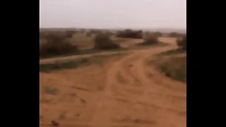 زب في الصحراء